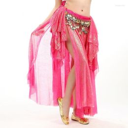 Stage Wear 9 Color BellyDance Long Skirt 2023 Arrival Double Split Adult Belly Dance Costume Professional Dancing