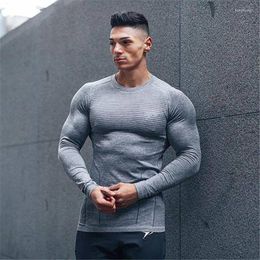 Men's T Shirts Mens Cotton Slim Fit Gyms Long Sleeved Shirt Fitness Bodybuilding Workout Brand Fashion Clothing Male Casual Sports Tee Tops