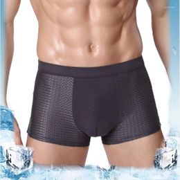 Underpants WONTIVE Mens Ice Silk Seamless Underwear 1pc 2 Piece 2pcs Set For Men Summer Breathable Mesh Panties Men's Boxer Cool Panty