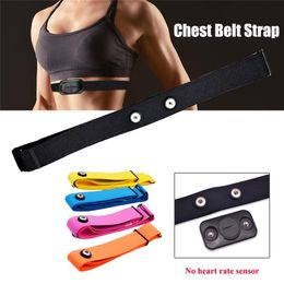 Colorful Elastic Sport Heart Rate Monitor Adjustable Chest Mount Belt Strap Bands Fitness Equipment193O