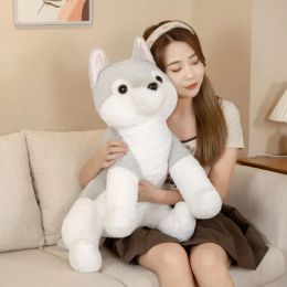 Cute Creative Sitting Wolf Puppy Stupid Plush Toy Animal Dog Doll Throwing Pillow Children Birthday Gift 31inch 80cm