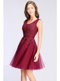 Casual Dresses Sexy Red Wine Floral Lace Mini Skirt For Women Elegant V Neck Tulle Evening Dress With Linning Female Cocktail Prom Party
