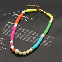 Chains Go2Boho Freshwater Pearls Choker Polymer Clay Beads Necklaces For Women Jewelry Real Pearl Heishi Necklace Stainless Steel Clasp