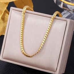 Chains Chain Necklace 316 Stainless Steel For Women Metal Texture Flat Collar Waterproof Girlfriend Gift Items