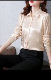 Classic Polo Collar Long Sleeve Shirt Glossy Print Pattern Letter Silk Fabric Women's Shirt Regular Chiffon