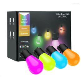 Strings Bluetooth APP Multicolor Ball Bulb Light Garden Decor Ambient ABS With US Plug