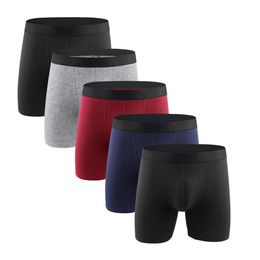 Underpants 5Pcs/Lot Men's Underwear Pure Cotton Large Men's Boxer Underwears Lengthened Sports Solid Colour Men Underpantes Antifriction 230515