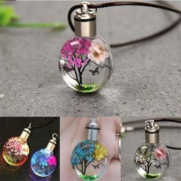 Luminous Dried Flower Butterfly Glass Ball Women Necklace Pendant Rope Chain Necklace for Women Strip Leather Choker