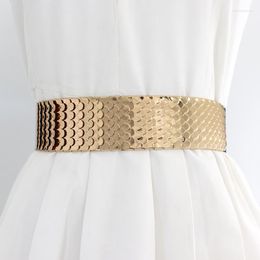 Belts Women's Metal Elastic Waist Cover Fashion Fish Scale Wide Waistband Dress Versatile Girl Clothing Accessories