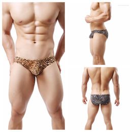 Underpants 3Pcs/Pack Men's Triangle Leopard Briefs Sharp Convex Low Waist Sexy Breathable For Men