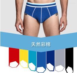Underpants Wholesale Low Price High Quality 6 Pcs/lot Men's Sexy Breathable Cotton U Convex Brief Underwear 10c