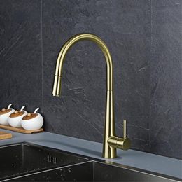 Kitchen Faucets Design Faucet Modern North American Sink Cold And Brass Pull Type Rotary Brushed Gold