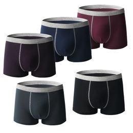 Underpants 5 Pcs Large Size Boxer Briefs Shorts Undies Men Underwear Undershorts Panties Bigger Cotton Boy Antibacterial Fabric Underpants 230515