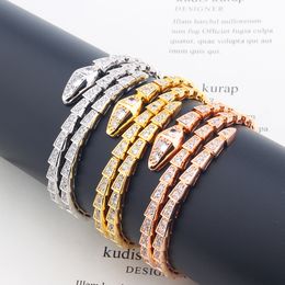 Bangle new Fashion Unisex snake bracelet plated 18K gold Jewellery bracelets for women girls ladies luxury jewlery designer birthday Weddin