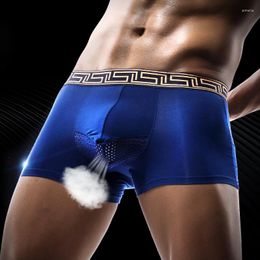 Underpants Modal Men's Underwear Scrotum Support Boxer Shorts Bag Separation Mesh Ice Silk Breathable
