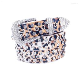 Belts Fashion Diamond Belt Rivet Ladies Crystal Rhinestone Decorative