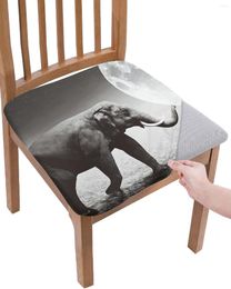 Chair Covers Black And White Animal Elephant Moon Starry Elastic Seat Cover For Slipcovers Home Protector Stretch