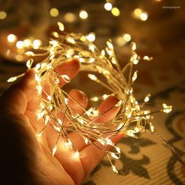 Strings LED String Light 2M 5M Copper Wire Firecracker Fariy Garland Wedding Christmas Party Decoration Lights