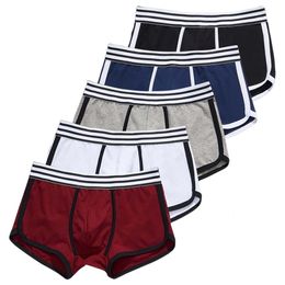 Underpants 5 pcs/lot Boxer Men Underpants Casual Cotton Mens Underwear Boxers Men's Shorts Bulge Pouch Loose Homewear Panties Man 230515