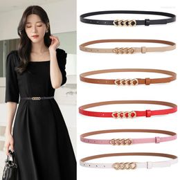 Belts Women's Belt Casual Dress Jeans Black Ladies Thin Leather Studded Multicolor Available
