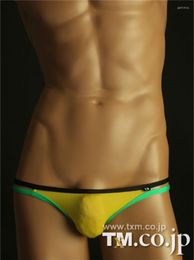 Underpants Sexy Underwear Men's Ultra-thin Silky Low Waist 3315 Briefs