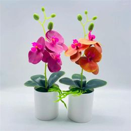 Decorative Flowers 1Pc Artificial Potted Fake Grass With Pots Phalaenopsis Orchid Bonsai Plastic Decoration For Living Room Desktop