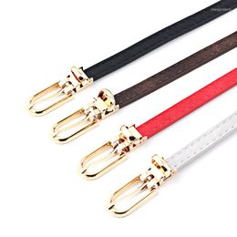 Belts Corset Thin Belt Women Fashion Trend Pin Buckle Coat Dress Cummerbunds Casual Wild Leather Waistband For Jeans Pants Accessories