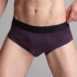 Underpants 2pcs/lot Plain Blank Men Briefs Underwear Sexy Modal Stretchy Panties Underpant Elastic Quality Slips Mens