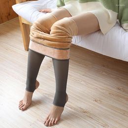 Women's Leggings 80g 200g 300g Women Realistic Bottoming Pants Bare Leg Artefact Winter Plush Arbitrary Double Layer Flesh Colour Pantyhose