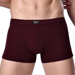 Underpants Bamboo Male Panties Sexy Underwear Men Cuecas Boxer Fashion Boxer Shorts Mens Underware 4pcs/lot 230515