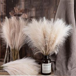 Decorative Flowers 50cm Artificial Flower Reed Pampas Grass INS Wind Simulation Boho Home Decoration Wedding Decor