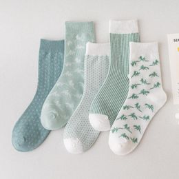 Women Socks 10 Pieces 5 Pairs Style For Autumn Winter Girls Plaid Little Ins Green Color Fashion