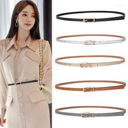 Belts Arrival Decorative Belt For Dresses And Sweaters Skinny PU Leather Women With Various Colours
