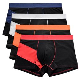 Underpants Brand Boxer Men Underwear Mens shorts Homme Cotton For Boxers Short Sale Boxeador Underpants 230515