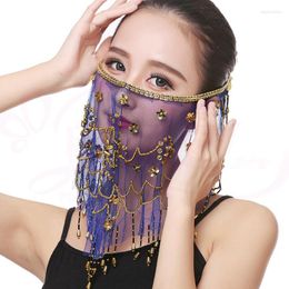 Stage Wear Dance Face Veil Belly Costumes Embroidered Mesh Bellydance Veils Plum Dancing Accessory Tribal Props