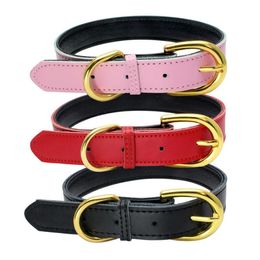 Wholesale Gold Pin Buckle Dog Collar Adjustable Fashion Pet PU Leathers Collars Neck Dogs Supplies Accessories SN6896