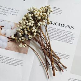 Decorative Flowers About 20g/10-15CM Real Mini Fruit Natural Dried Small Flower Bouquet White Fruits For Home Decor Weddinng Decorations