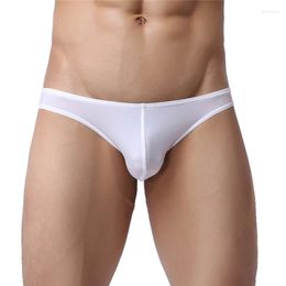 Underpants Men's Briefs Low Waist Mens Nylon Sexy Male Underwear Cueca Masculina Penis Pouch Men Bikini