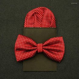 Bow Ties 2023 Dot Tie Set Paper Towel Bowtie Pretied Pocket Square For Men Wedding Business