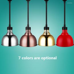 Pendant Lamps 250W Food Heating Chandelier Modern Indoor Single-Head Light For Buffet Insulation Multi-Color Restauran