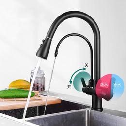 Kitchen Faucets Tianview Pull-out Faucet Three-in-one And Cold Double-outlet Water Purifier Paint Dual-use Sink Brass