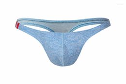 Underpants Titmsny Men Cotton 8 Colours Underwear Men's Sexy Thongs G-strings Briefs Male Gay Penis Pouch U Convex Bikini