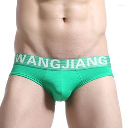 Underpants WJ Brand Men Briefs Cotton Underwear Comfy Big Penis Bag Sleepwear Gay Pouch Bikini Shorts