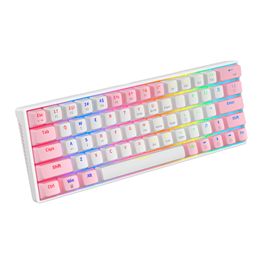 63 Keys RGB Wired Mechanical Keyboard Gaming Keyboard Pluggable Swappable Light Mac Windows Computer Office
