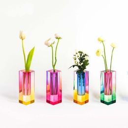 Vases Creative and Simple Nordic Acrylic Colour Vase Square Column Glass Bubble Flower Can Be Inserted Dried Flowers Can Be Hydroponic 230515