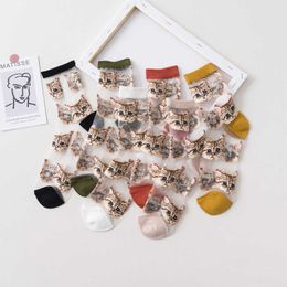 Socks Hosiery 3 Pairs = 6 Pieces Cool Transparent Cute Cat Female Socks Breathable Ladies Summer Thin Kaii Silk Socks For Woman Dropshipping P230516