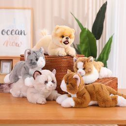 Simulation Cat Pillow Plush Toys Realistic Animal Puppet Cat Pomeranian Pet Doll Girl Home Decor Holiday Christmas Gift For Kids