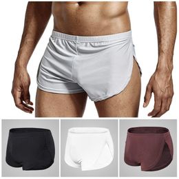 Underpants Split Men Boxer Shorts Summer Cool Modal Underwear Soft Fabric Sexy Briefs