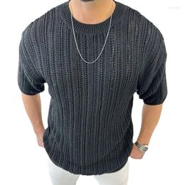 Men's T Shirts Spring Summer Hollow Short Sleeve Casual Jumpers Men's Solid Loose Knitted Tees Tops O Neck For Men Vintage Knitwear