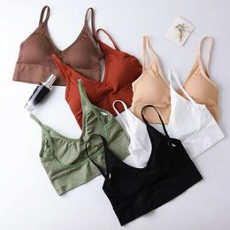 Yoga Outfit Womens Padded Plain Vest Crop Top Backless Strappy Bralet Solid Casual Sports Tank Summer Female Shirts